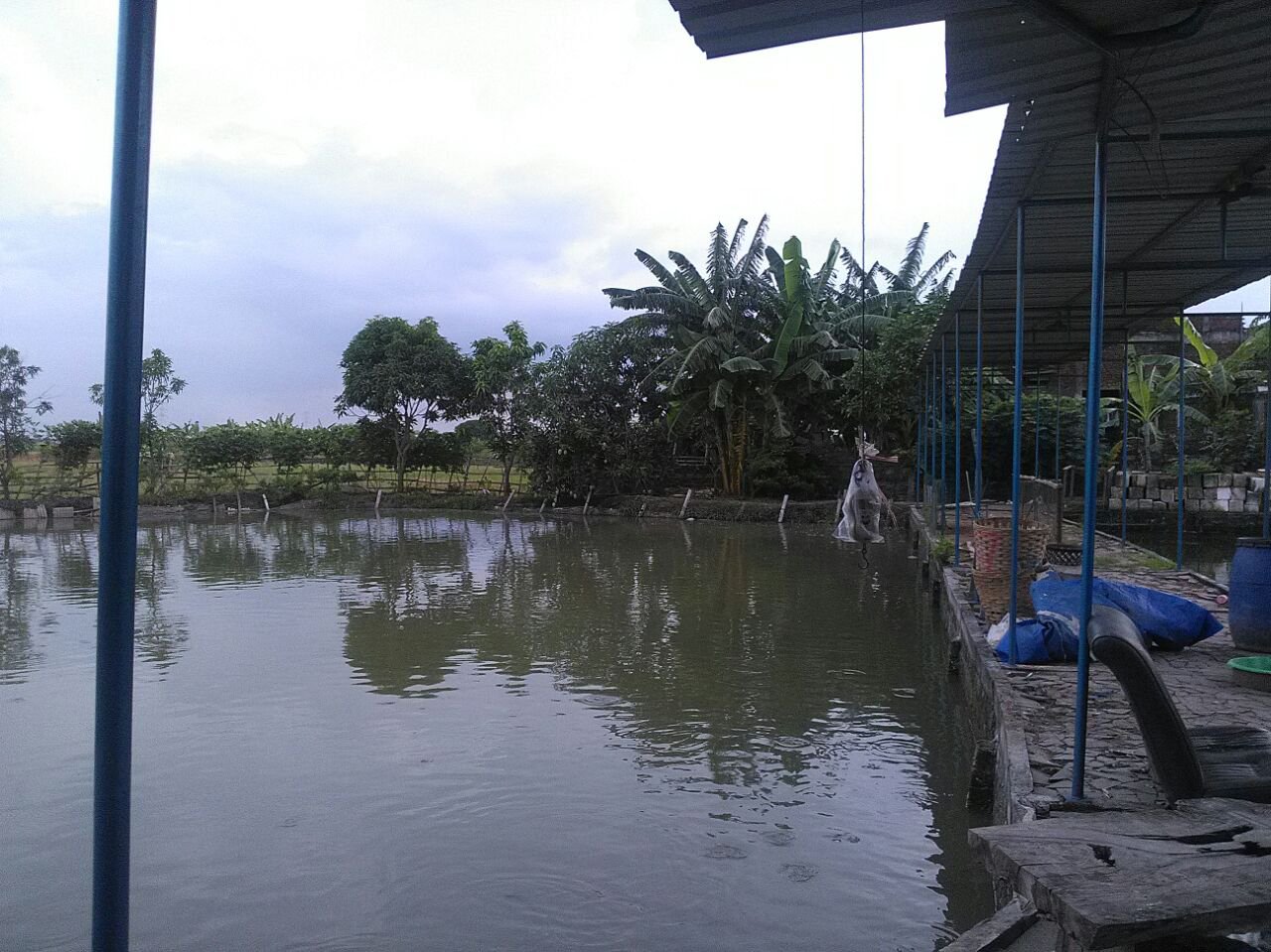 bisnis kolam tambak ikan bandeng gresik » Ingin Punya Usaha? Ini Dia Bisnis yang Cocok di Kota Gresik