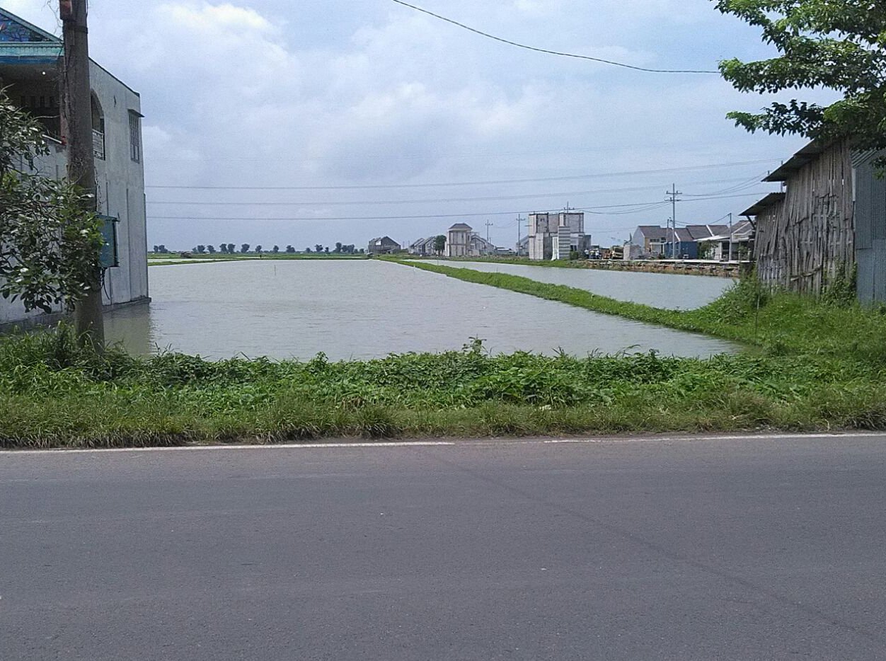 tambak gresik yang masih eksis hingga sekarang » Sekilas Gambaran Perekonomian Gresik di Masa Lalu
