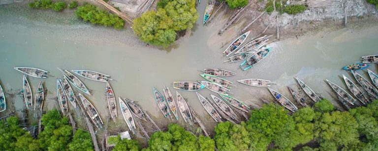 banyu urip mangrove center ujungpangkah 768x308 » Ini Wisata Alam Gresik yang Tawarkan Opsi rekreatif nan Menarik